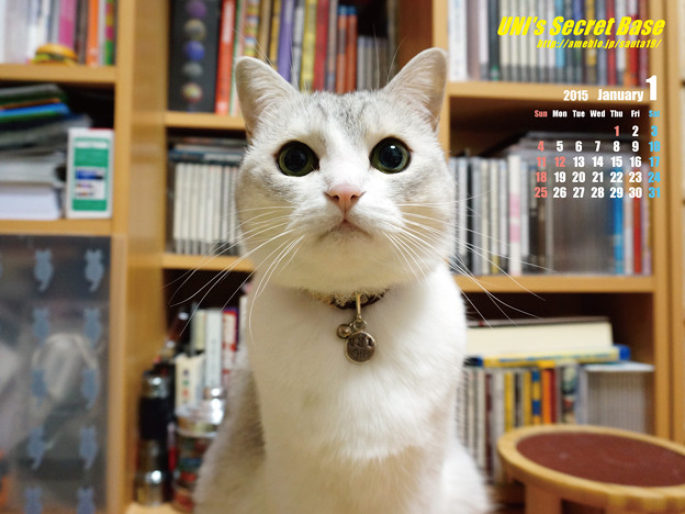 2015.1カレンダー