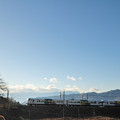 Photos: 冬枯れの甚六桜のもとを行くE257系特急電車