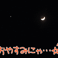 091221-【猫アニメ】アウトドア派にゃ！