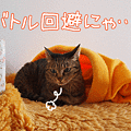 100205-【猫アニメ】祝！復活突っ張りキャットウォークにゃのに・・・
