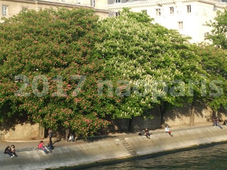 image056