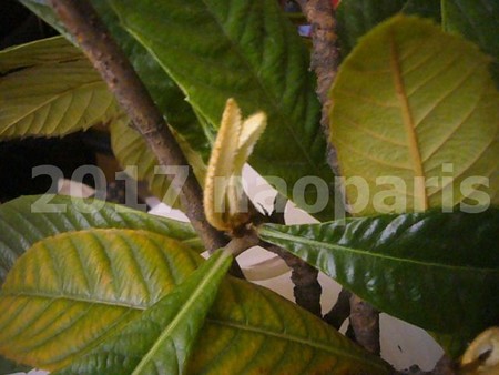 image059