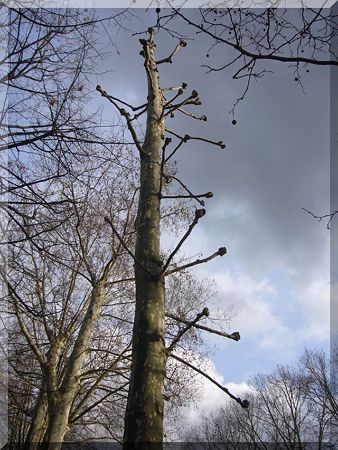 P2330927