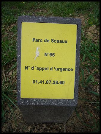 P2430893