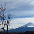 Photos: 残り柿と富士のお山。