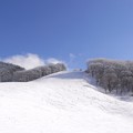 広々のゲレンデ。