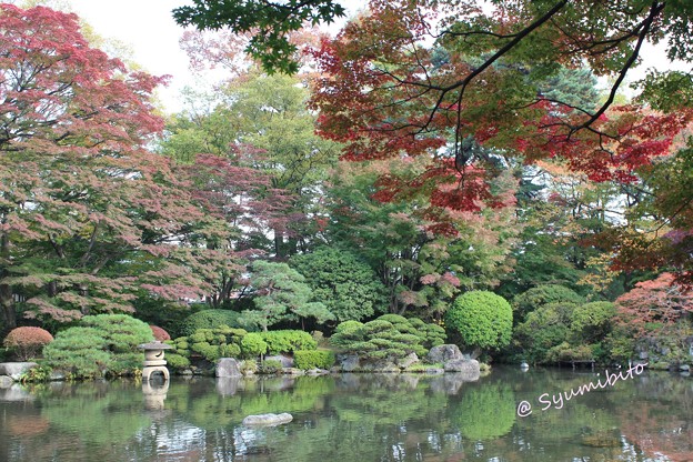 もみじ公園 (娘 撮影) (2)