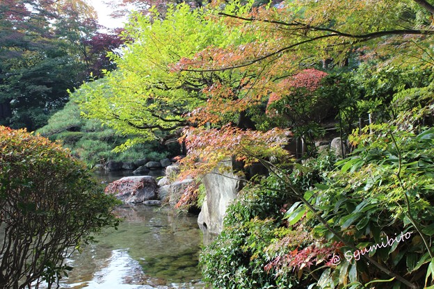 もみじ公園 長女撮影