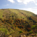 Photos: 紅葉の鉢伏山