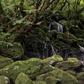 鳥海山麓