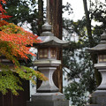 Photos: 鶏足寺07s