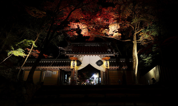 Photos: 永源寺19s