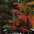 Photos: 小國神社02s