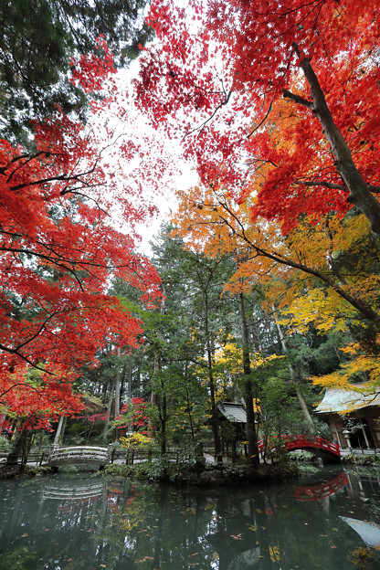小國神社04s