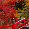 大洞寺02s