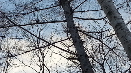 20141228_075459