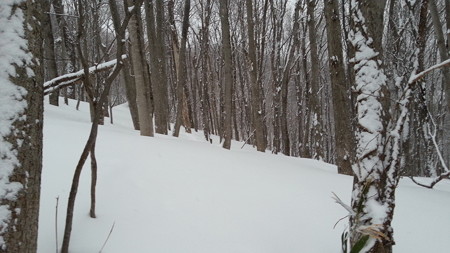 20150117_075955