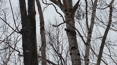 20150301_074050