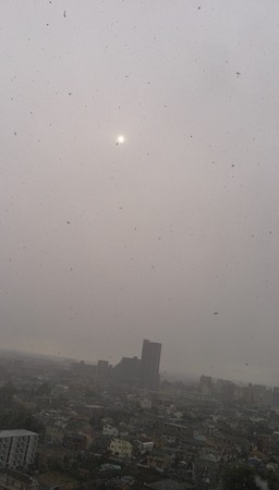 午後は雪。お日様も隠れてしまうぐらいでした。