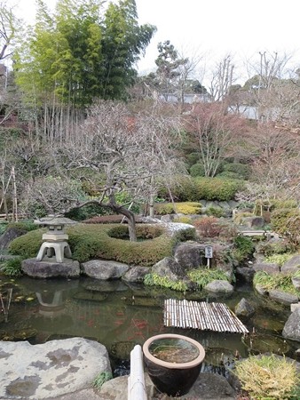 長谷寺 鎌倉 お庭よりきれいでした。でも霜柱もりっぱなものがありました。