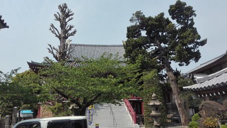 なんとなく奈良の東大寺を思わせる長安寺@三浦薬師