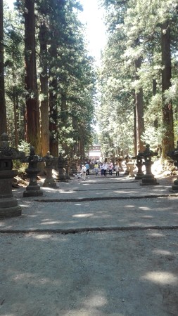 参道。