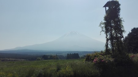 朝霧高原の富士。このバックグランドが好き。