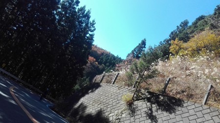 山伏峠から紅葉をみる
