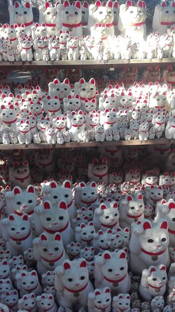 招き猫@豪徳寺