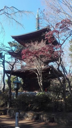 豪徳寺 三重塔