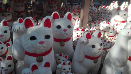 招福猫児5