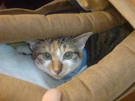 2009120501