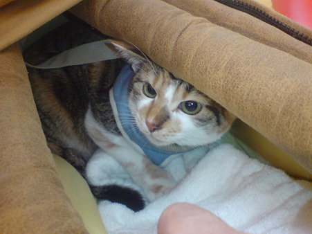 2009120502