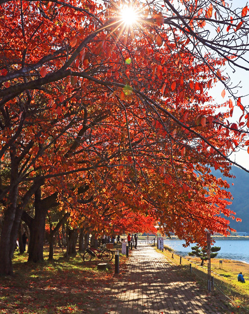 写真: z1M0A2591