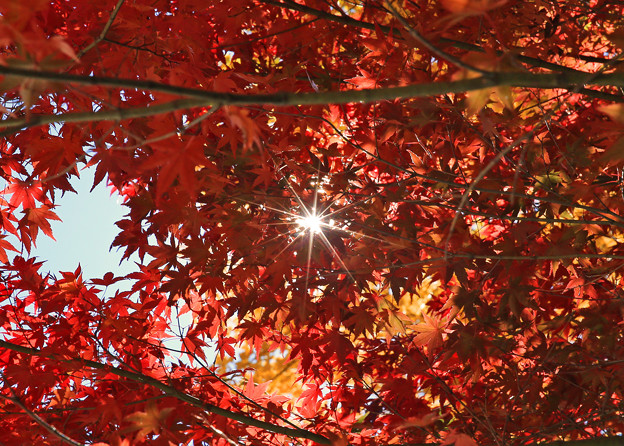 写真: z1M0A2793