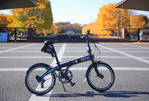 写真: z1M0A2957