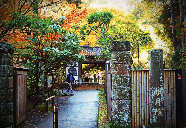 写真: z1M0A3492