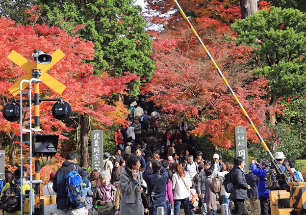 写真: x1M0A3760