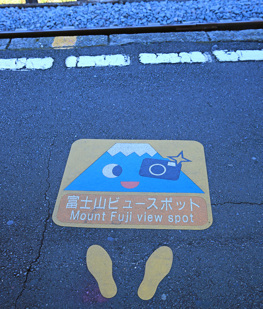 写真: z1M0A6767