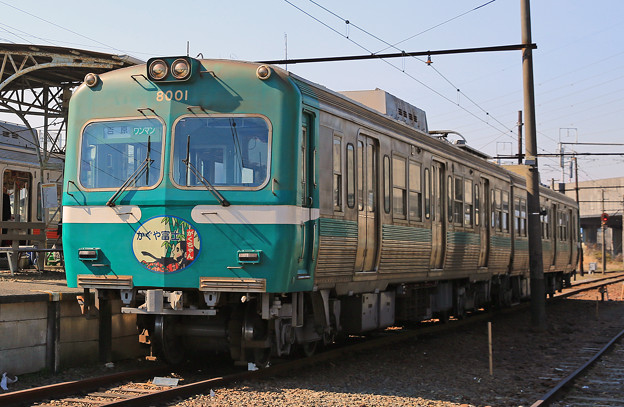 写真: z1M0A6848
