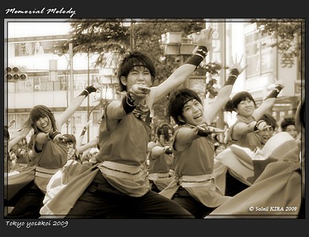 早稲田大学 “踊り侍” - 第10回 東京よさこい