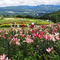 Photos: 思えば遠くへ来たモンだ