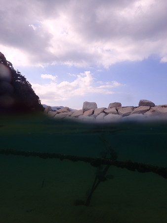 平沢の海の半水面やったよ!