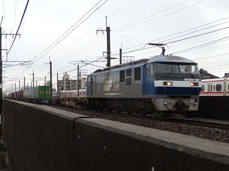 DSCN1973