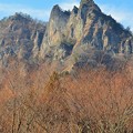 Photos: 妙義山と冬枯れ
