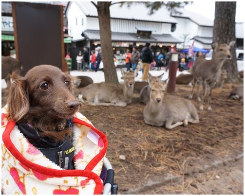 Photos: 2014121607