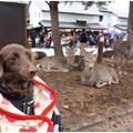 Photos: 2014121607