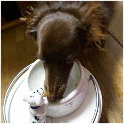 Photos: 2015021306