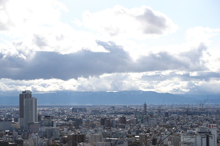 TAMRON 70-200mmF2.8 その1