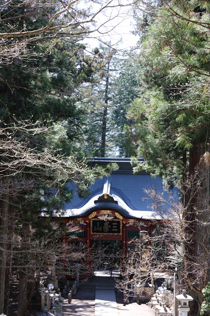 三峯神社神社12